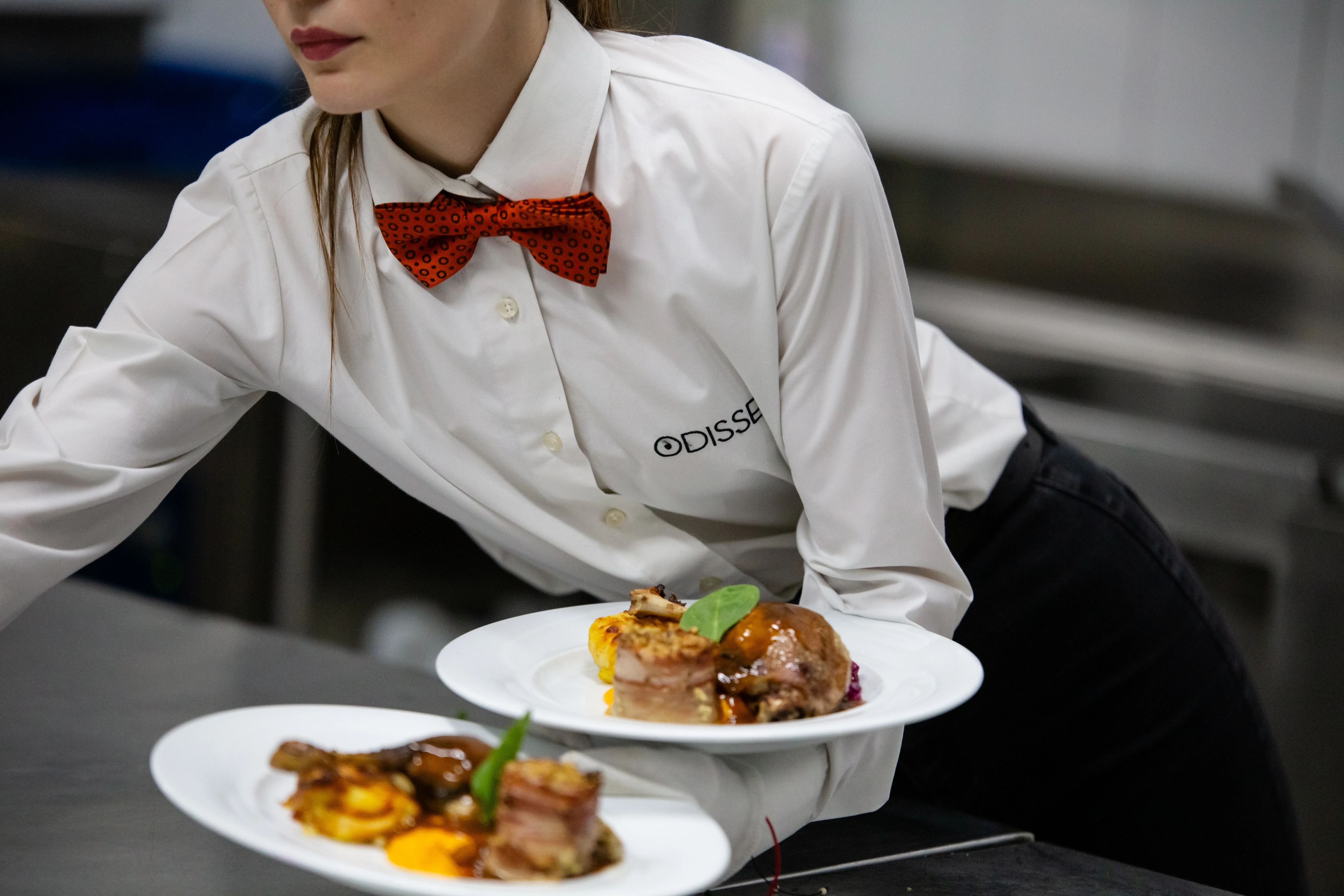 Meniu Odissea - preparate fine dining și servire elegantă